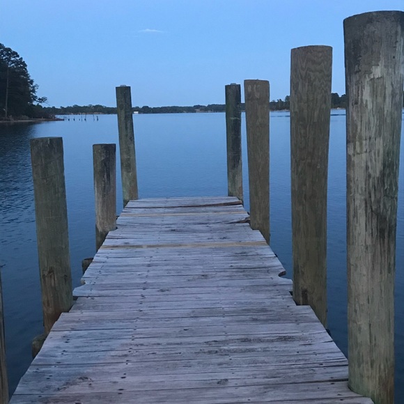 Meet your Posher, Maddie - Picture 1 of 1